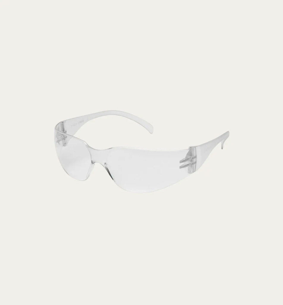 INTRUDER Safety Goggles