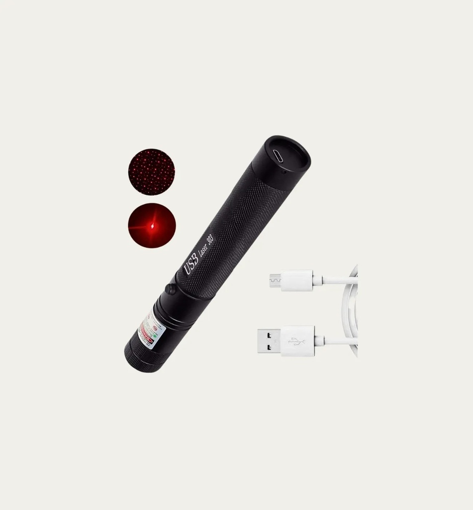 [1626] Rechargeable Laser Pointer (red)
