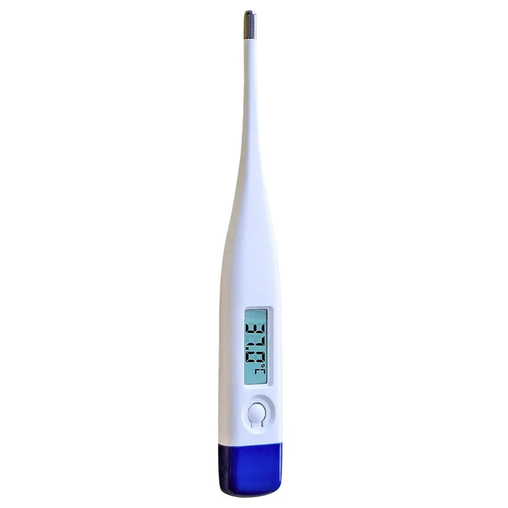 Digital thermometer