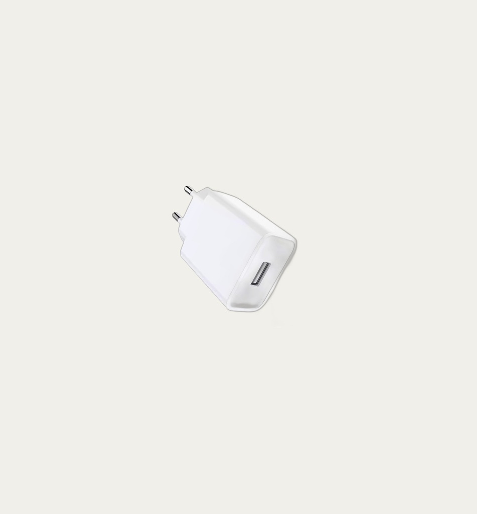 [2347] USB Wall Charger